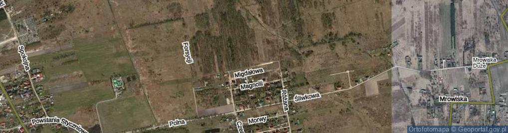 Zdjęcie satelitarne Pigwy ul.